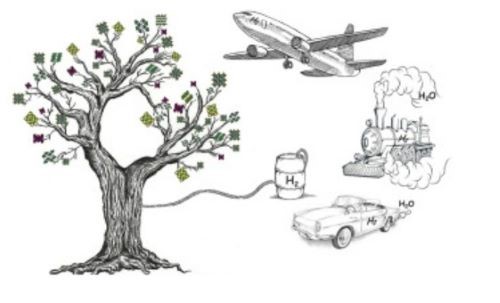 artificial photosynthesis